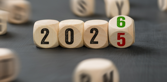 Co přinesl rok 2025 a co čekat v roce 2026